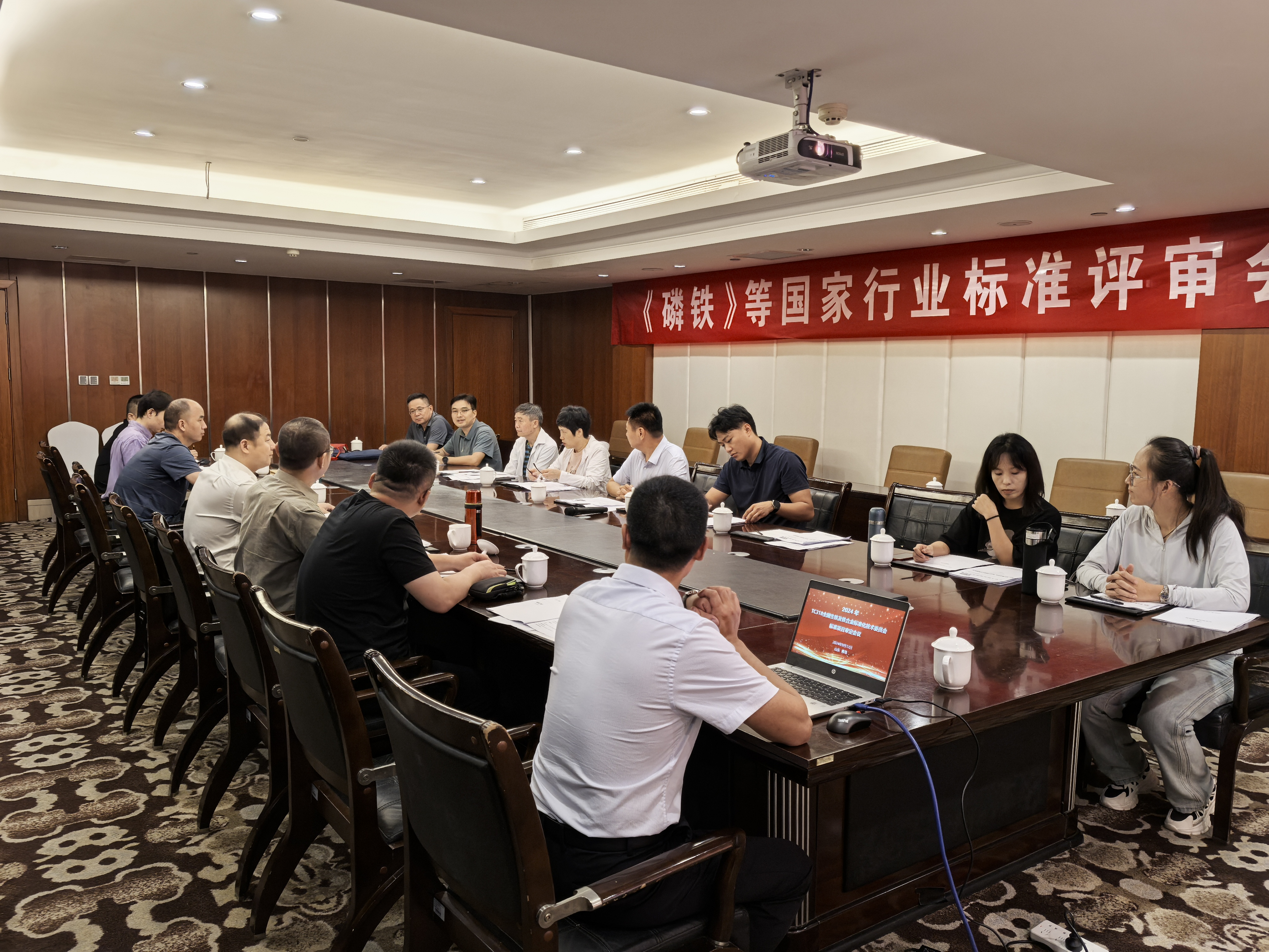 豫中新材料牵头2024《磷铁》新
